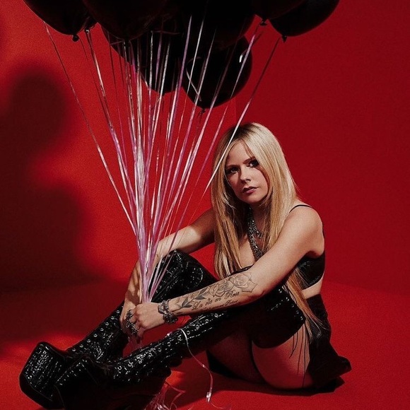 Meet your Posher, Deacon - Picture 2 of 7